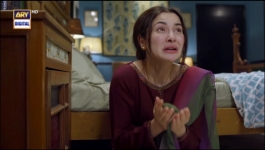 Mere Humsafar - Episode 24 - 17th June 2022